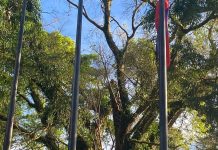 UN@80: Building the Future Together — A Month of Peace, Partnership, and Purpose